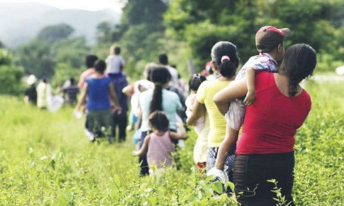 Migración y economía