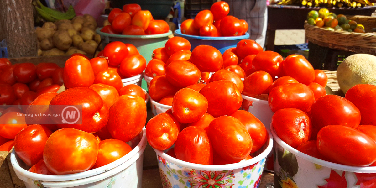  Tomates