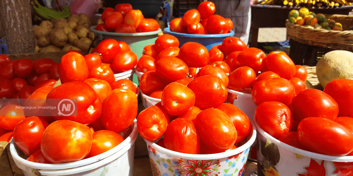 Tomates