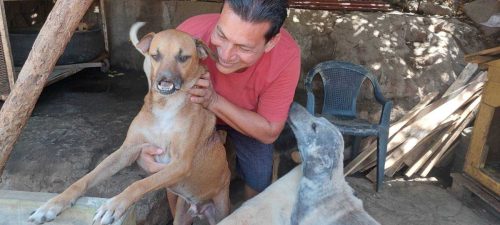 En la Casa Hogar Scooby, ubicada en Masaya, pasan muchas dificultades con la alimentación y la medicina para los animalitos./VEL