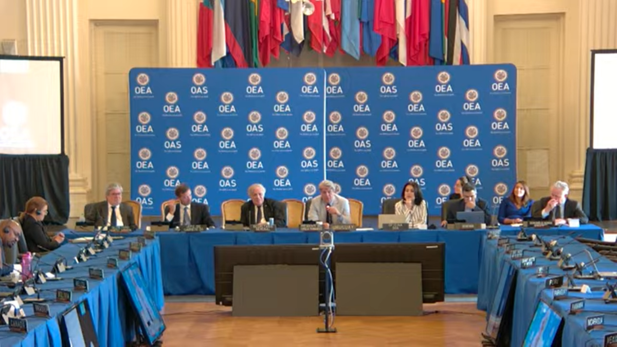 Situación de Nicaragua volvió al Consejo Permanente de la OEA - Nicaragua  Investiga