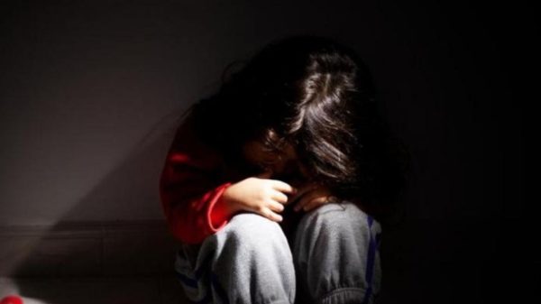 Las víctimas de abuso sexual infantil eran dos menores, parientes de la mujer arrrestada.